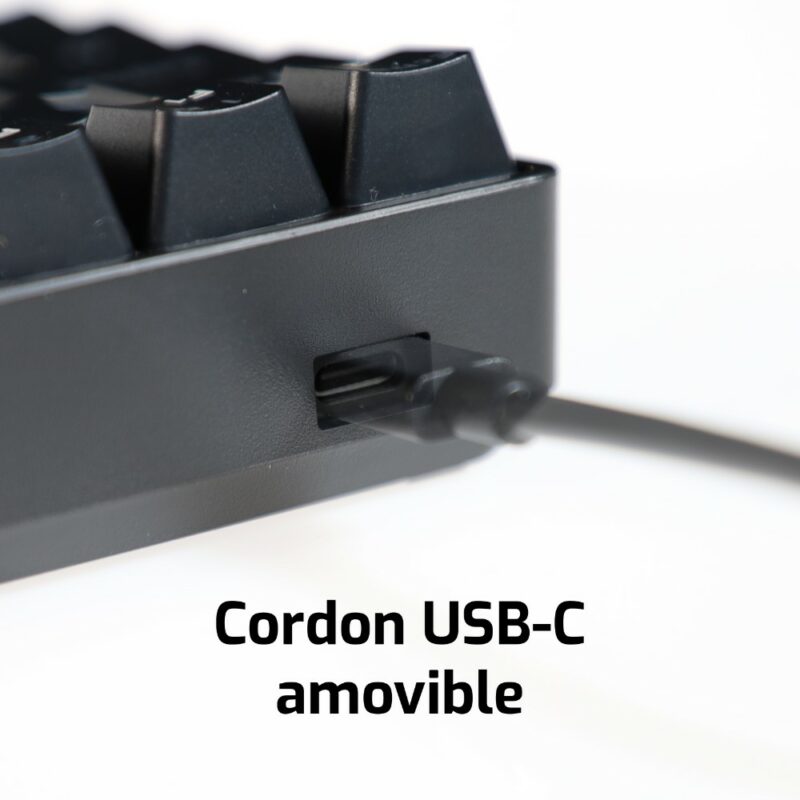 Clavier gaming mécanique compacte CA-100 TKL