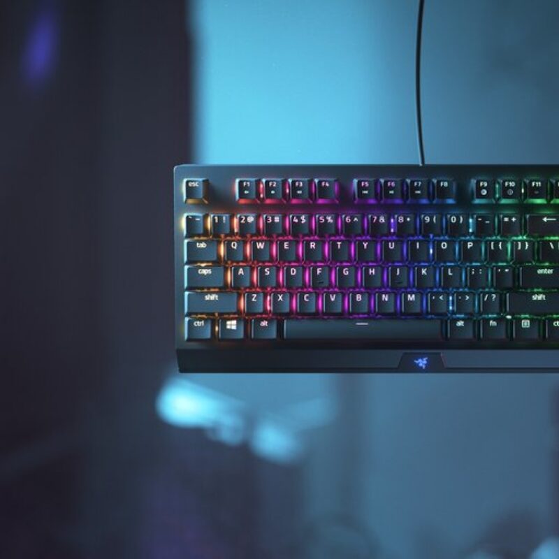 BLACKWIDOW V3 TENKEYLESS - FR