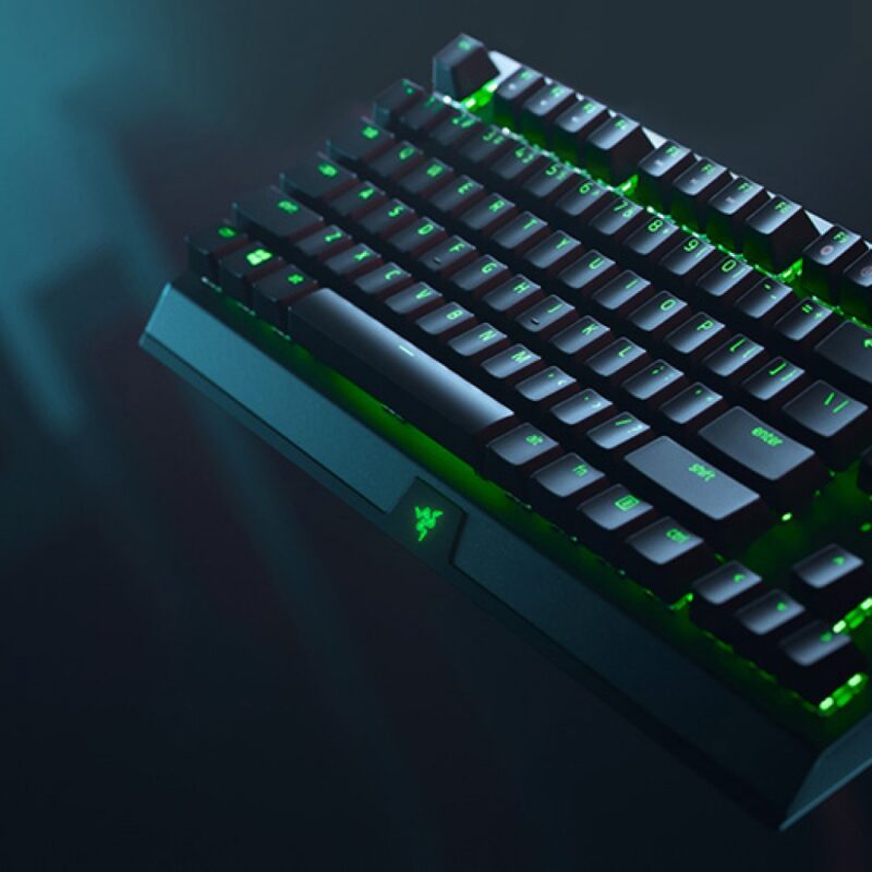 BLACKWIDOW V3 TENKEYLESS - FR