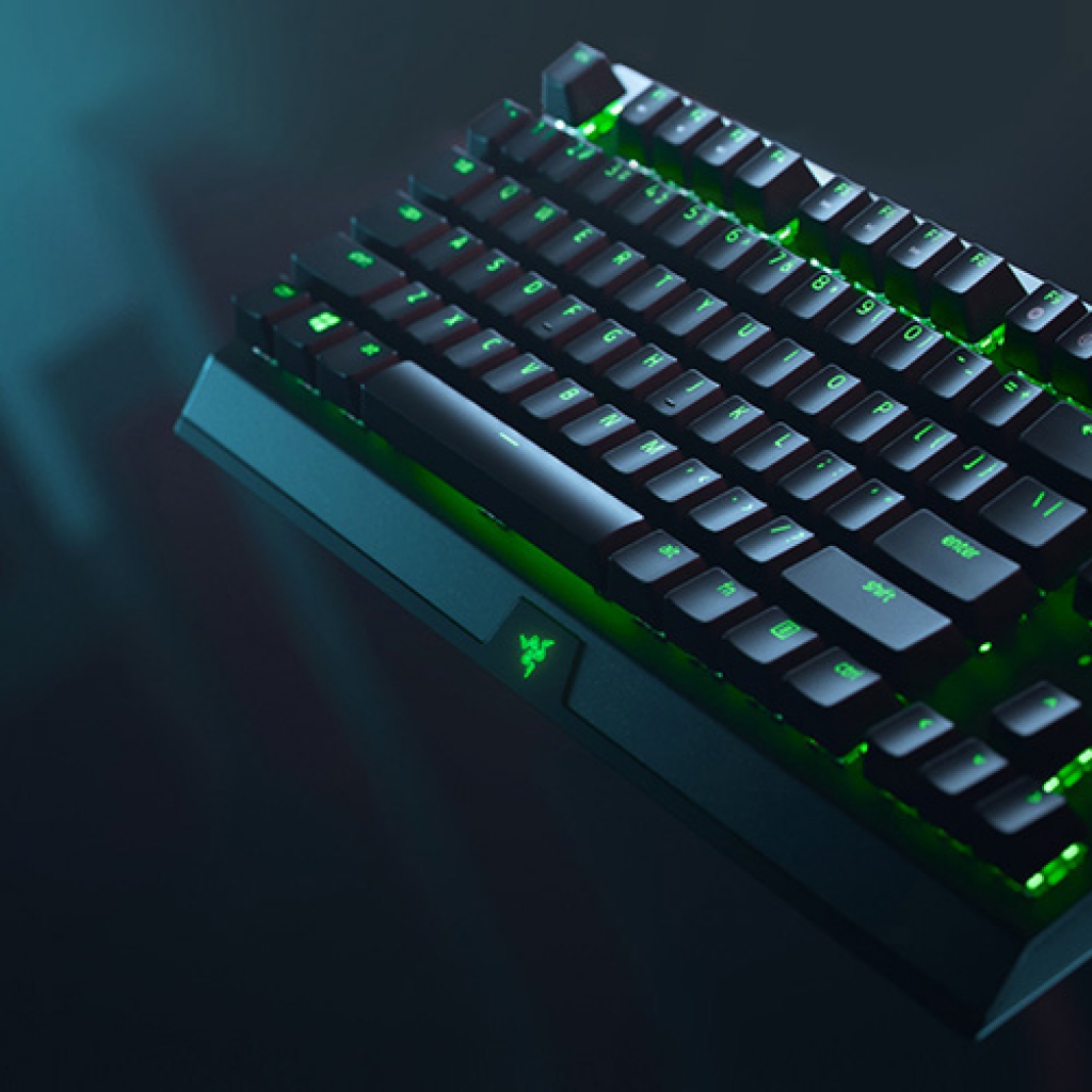 BLACKWIDOW V3 TENKEYLESS - FR BLACKWIDOW V3 TENKEYLESS - FR