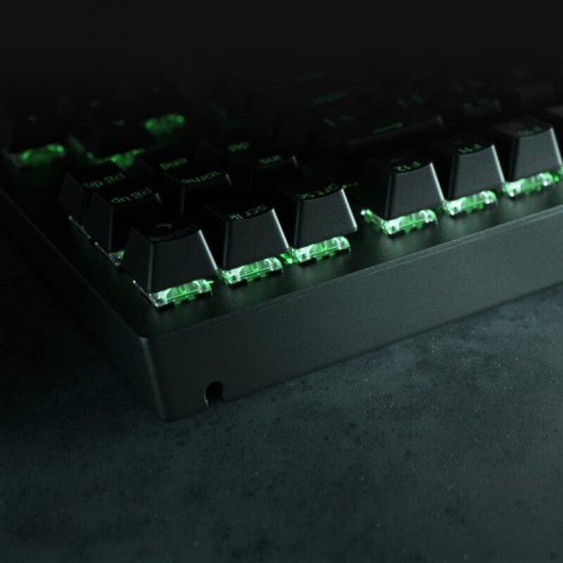 BLACKWIDOW V3 TENKEYLESS - FR