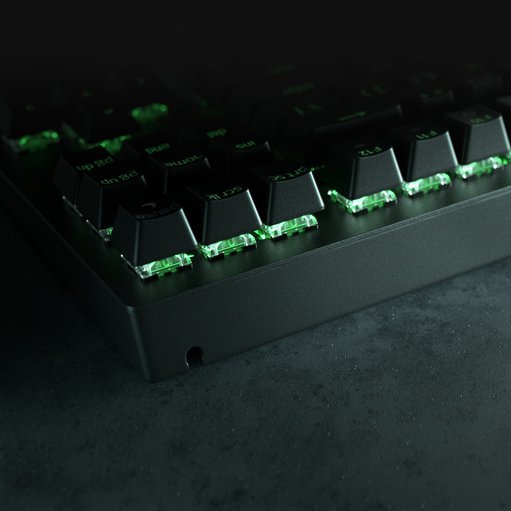 BLACKWIDOW V3 TENKEYLESS - FR BLACKWIDOW V3 TENKEYLESS - FR